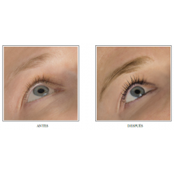 Peggy Sage lash and brow tint | Official distributor of Peggy Sage....