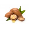 Aloe vera - rosehip - Argan gel 500ml | Official distributor of Kef...