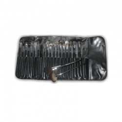 20 brushes leather case