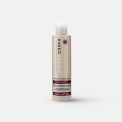Lotion tonique Rebalancing | Distributeur officiel de Kaeso