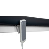 Electric beauty bed Vital (1 motor) | Official distributor of WAPP....