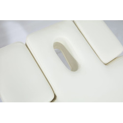 Electric beauty bed Libra (4 motors) | Official distributor of Mirp...