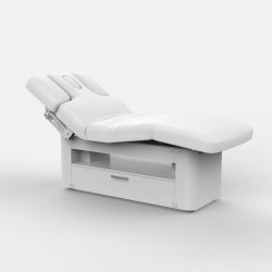 copy of copy of SPA Electric beauty bed Troch (4 motors) | Official...