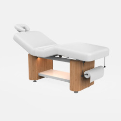 copy of copy of copy of SPA Electric beauty bed Troch (4 motors) | ...
