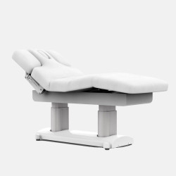 copy of copy of copy of copy of SPA Electric beauty bed Troch (4 mo...