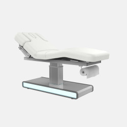 copy of copy of copy of copy of copy of SPA Electric beauty bed Tro...