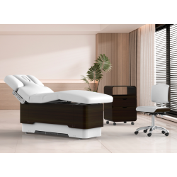copy of copy of SPA Electric beauty bed Troch (4 motors) | Official...