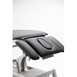 Camilla eléctrica Titan 304F | Distribuidor oficial de SilverFox