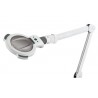 Magnifying lamp leds Mane with base | Official distributor of WEELK...