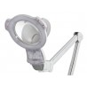 Magnifying lamp leds Mane with base | Official distributor of WEELK...