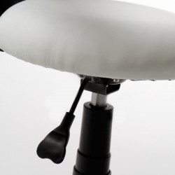 Hydraulic stool Ergo | Official distributor of WEELKO. Special pric...