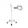 Magnifying lamp leds Mane with base | Official distributor of WEELK...