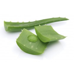 Gel aloe vera 500 ml (natural)