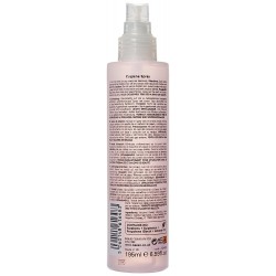 Spray higienizante manos 195 ml.