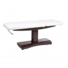 Electric beauty bed Trapp (2 motors) | Official distributor of WEEL...