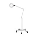 Éclairage LED de la lampe loupe