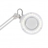 Magnifying lamp Nox with base | Official distributor of WEELKO. Spe...