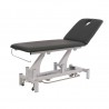 Electric beauty bed Torac (1 motor) | Official distributor of WEELK...