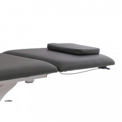 Electric beauty bed Torac (1 motor) | Official distributor of WEELK...