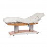 SPA Electric beauty bed Troch (4 motors) | Official distributor of ...