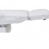 Electric beauty bed Tella (4 motors) | Official distributor of WEEL...