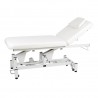 Electric beauty bed Minos (1 motor) | Official distributor of WEELK...