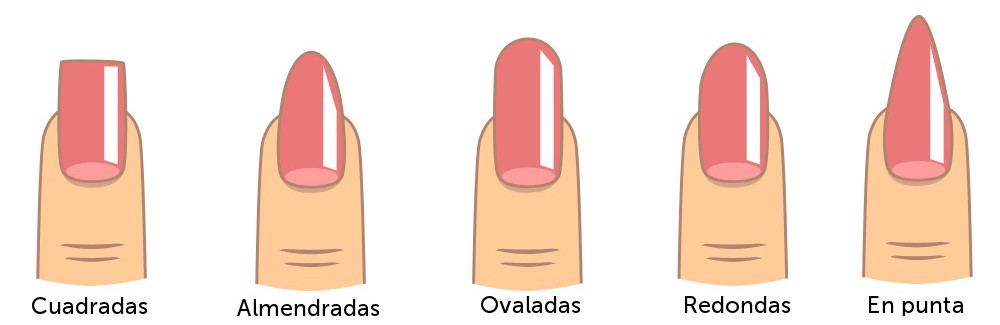 Formas de uñas más usadas