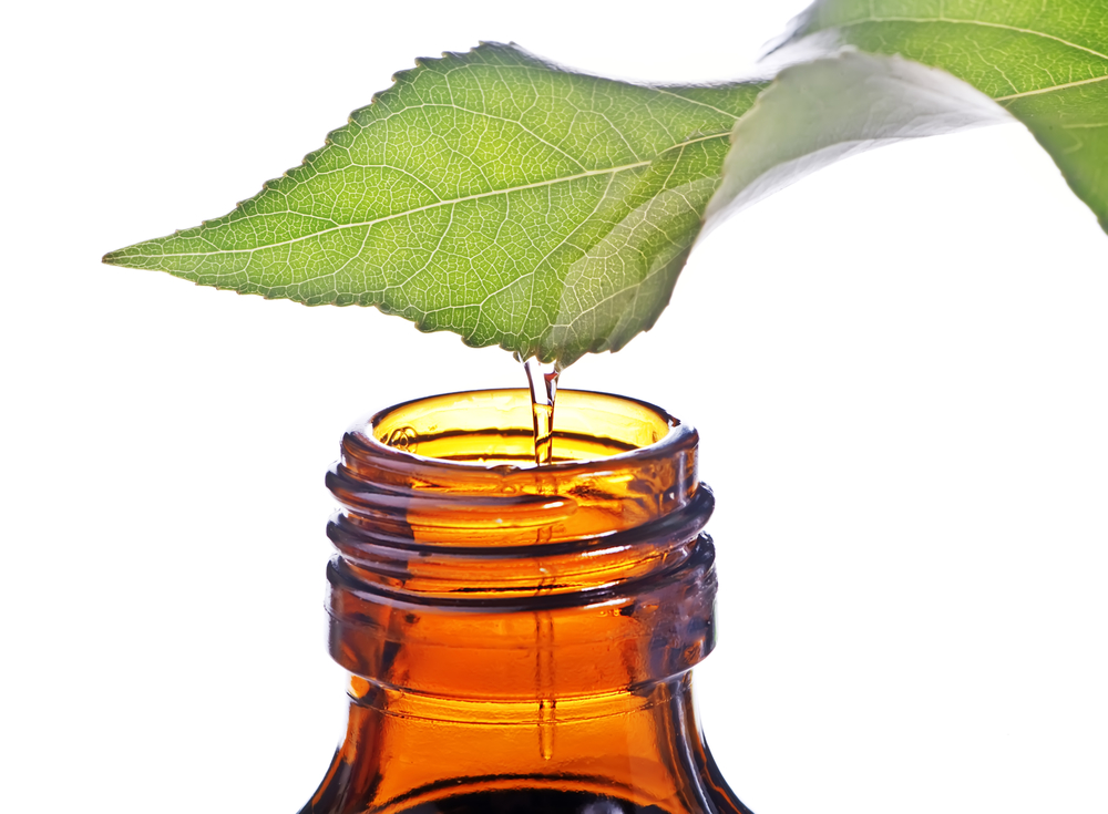 ¿Sabes todo lo que los aceites esenciales nos aportan? ¡Descúbrelo!